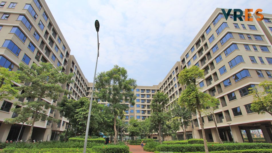 hoan thien chinh sach go vuong tu thuc tien